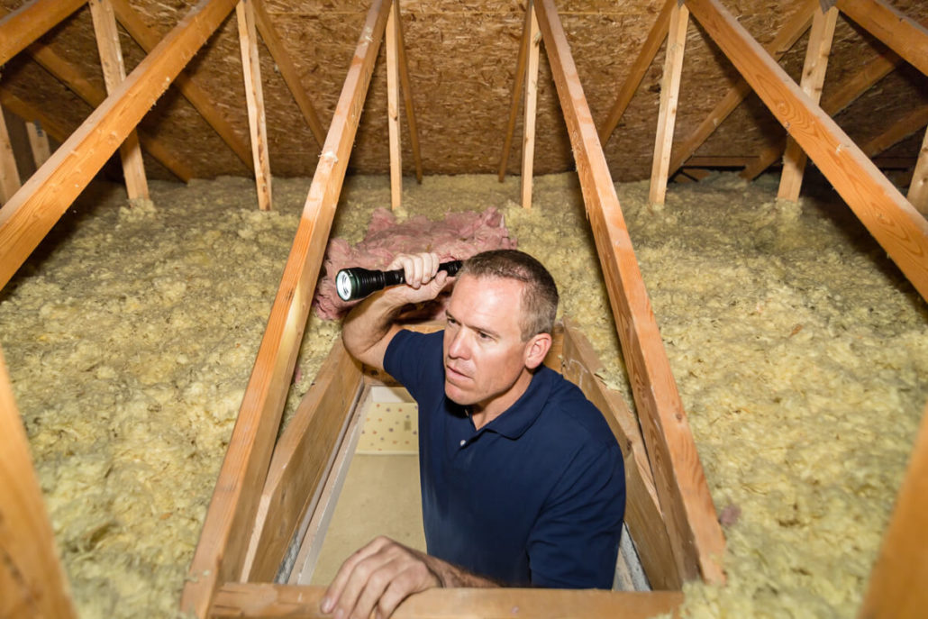 Home Inspector inspecting an attic